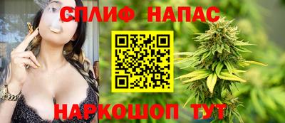 СК Балашиха